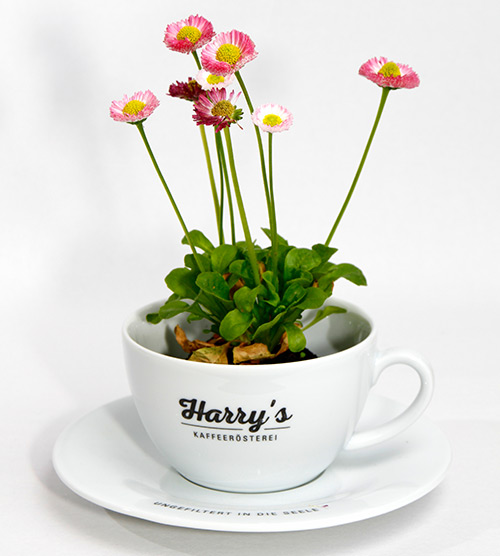 Harry's Kaffeetasse mit Blumendekoration als Symbol für nachhaltigen Kaffeegenuss