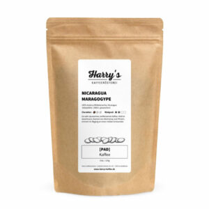 Kaffeepads Nicaragua Maragogype