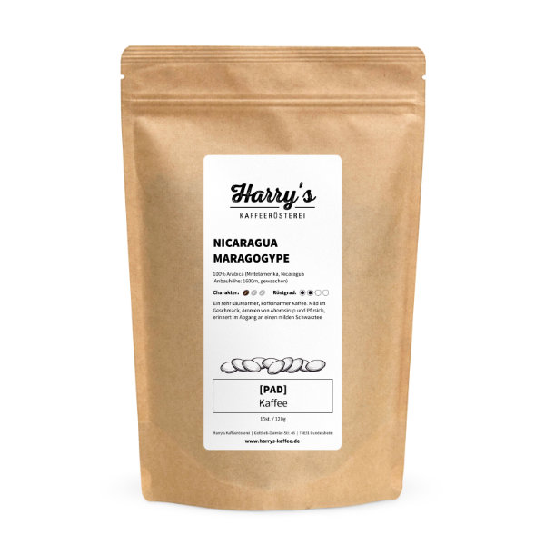 Kaffeepads Nicaragua Maragogype