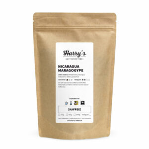 Nicaragua Maragogype